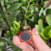 Trứng rung hình thỏi son mini cho nàng tự sướng TR004 23