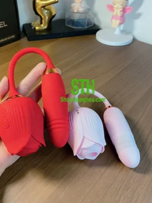 Sextoy hoa hồng 2 in 1 hút và rung thụt kích thích TR016 20