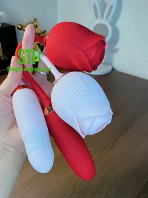 Sextoy hoa hồng 2 in 1 hút và rung thụt kích thích TR016 21