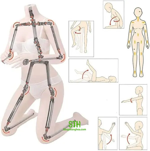 khung xương evo búp bê tình dục