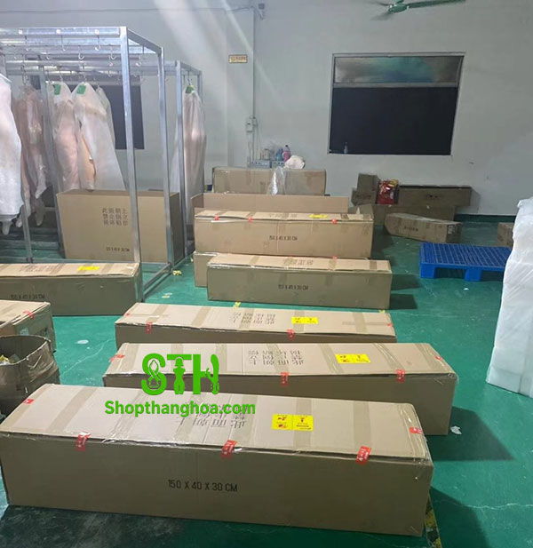 order búp bê tình dục