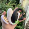 Trứng rung thiên nga không dây điều khiển từ xa TR028 4