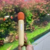 Chày rung tình yêu micro kích thích vùng kín nữ CR008 3