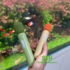 Chày rung tình yêu micro kích thích vùng kín nữ CR008 7