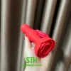 Sextoy plug hoa hồng rung thụt điều khiển từ xa DHM009 2