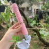 Dương vật giả Mini Roselex gắn tường rung thụt DVG084 2