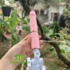Dương vật giả Mini Roselex gắn tường rung thụt DVG084 3